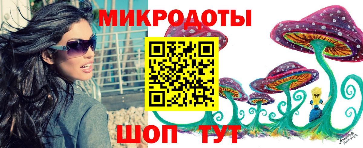 Галлюциногенные грибы Psilocybe Санкт-Петербург