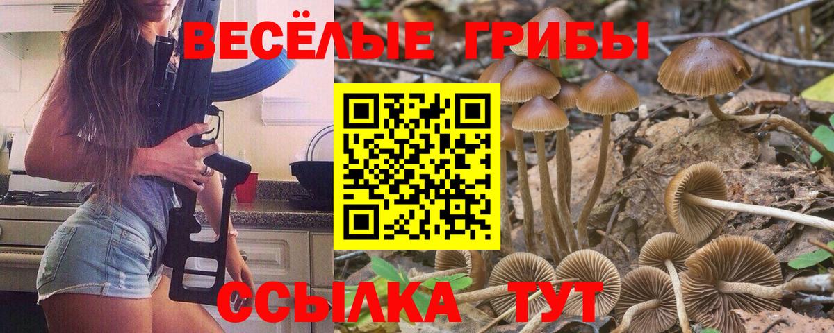 Санкт-Петербург  где купить наркоту  Псилоцибиновые грибы прущие грибы  Вход с VPN  Псилоцибиновые грибы прущие грибы 